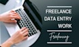 do accurate and fast data entry, and excel data input