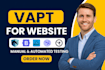 perform professional vulnerability testing for your website