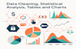 do data cleaning, statistics, analysis, tables and charts