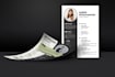 design a professional job winning CV