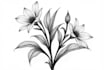 create a botanical black and white pen sketch