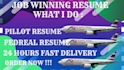create an expert resumes, pilot, attendant, engineer, amt, cv resume