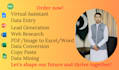 do data entry in low price and data entry web research