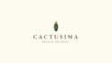 create beautiful 3d tiny cactus line minimalist logo design