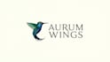 make different 3d professional hummingbird logo design within 1 day
