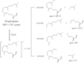 draw compounds and reaction mechanisms using chemdraw