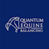 design a powerful quantum equine balancing logo