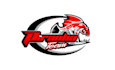 design attractive car racing team logo