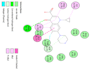 perform molecular docking simulations for your compounds