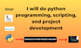 do python programming,  python script, python project development