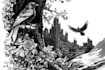 draw black and white illustrations