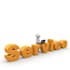 provide professional HR services