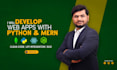 develop web apps with python or mern