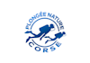 design professional dive service themed logo