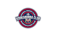 design aesthetics bowral cricket club logo