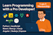teach you HTML, CSS, vanilla javascript, react and next js