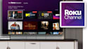 develop professional roku channel
