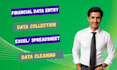 do accurate and tailored financial data entry, cleaning, and spreadsheet