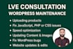 provide technical wordpress customer support, maintenance for plugins or themes