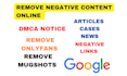 permanently remove mugshots cases news articles delete negative links on google