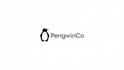 create an awesome 3d simple penguin outline logo in 12 hours