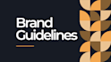 design a professional brand style guide