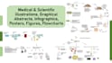 make scientific, medical illustrations, infographics, poster, graphical abstract