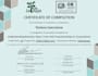 file your individual taxes