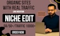 niche edit on real traffic sites da high