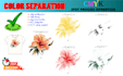 do color separation for screen printing  cmyk, spot designs
