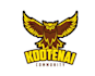 design a modern beautiful owl logo