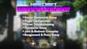 set up a professional minecraft server with plugins and optimization