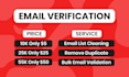 do email list cleaning, validation, and verification for up to 5 millions emails