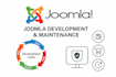 maintain, update, and develop your website professionally