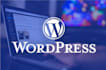 design, fix, or customize your wordpress site