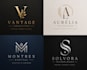 create premium logo designs for your brand