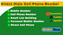 do lead generation, direct phone number, data enrichment
