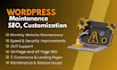 do monthly wordpress maintenance, help