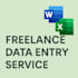 data entry service with meticulous and on time delivery ms word and excel