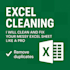 professionally ms excel data clean