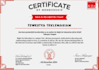 dream my writing write my dreams experienced content writer