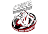 design awesome wrestling room logo
