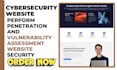 design cybersecurity website perform penetration and vulnerability assessment