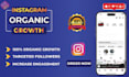 grow your instagram profile with targeted promotion