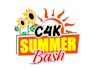 make modern classic style summer logo design