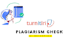provide professional ai and plagiarism check