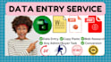 do accurate typing job, data entry work, copy paste, excel, word, pdf conversion