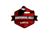 create capturing vintage boxing logo