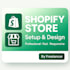 build shopify dropshipping store, and design shopify website