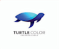 make a awesome turtle logo